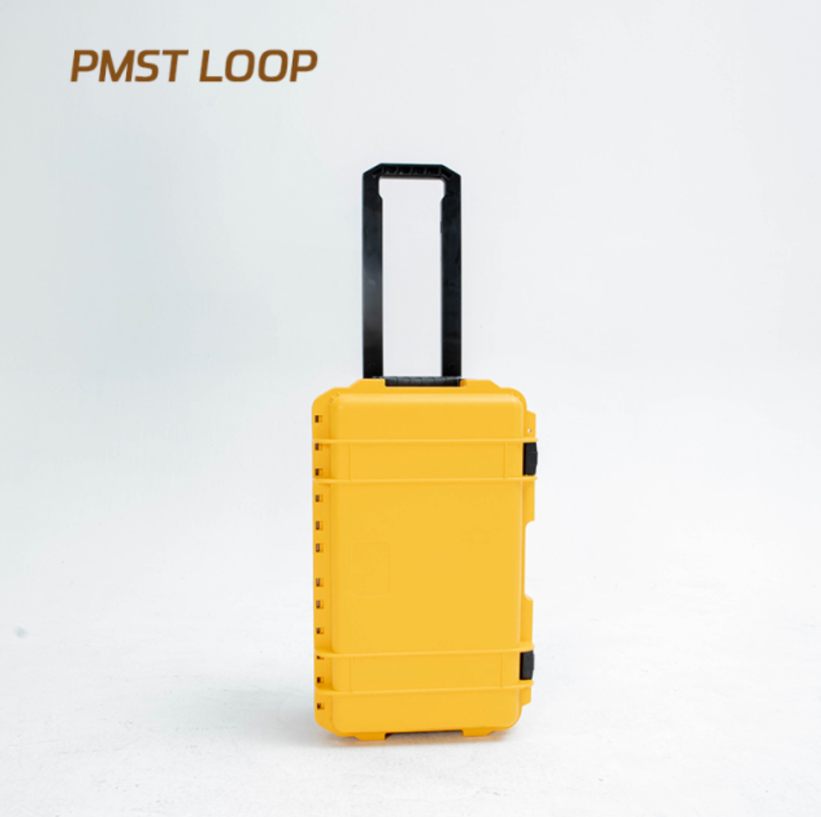 PMST LOOP