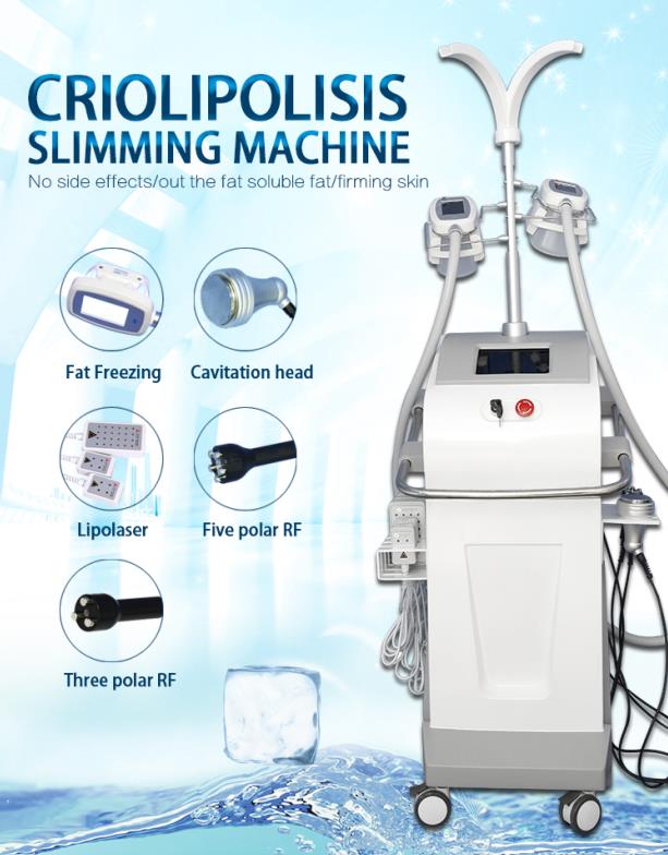 Multifunctional weight loss slimming cryolipolysis machine - OSTEOPHARMA™