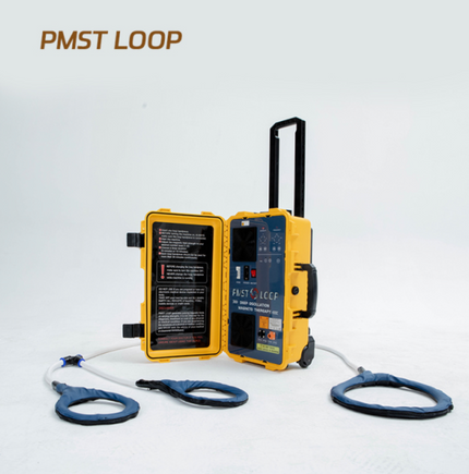 PMST LOOP