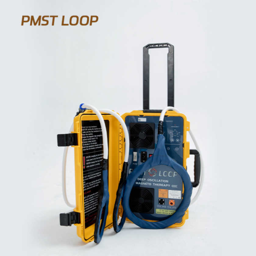 PMST LOOP