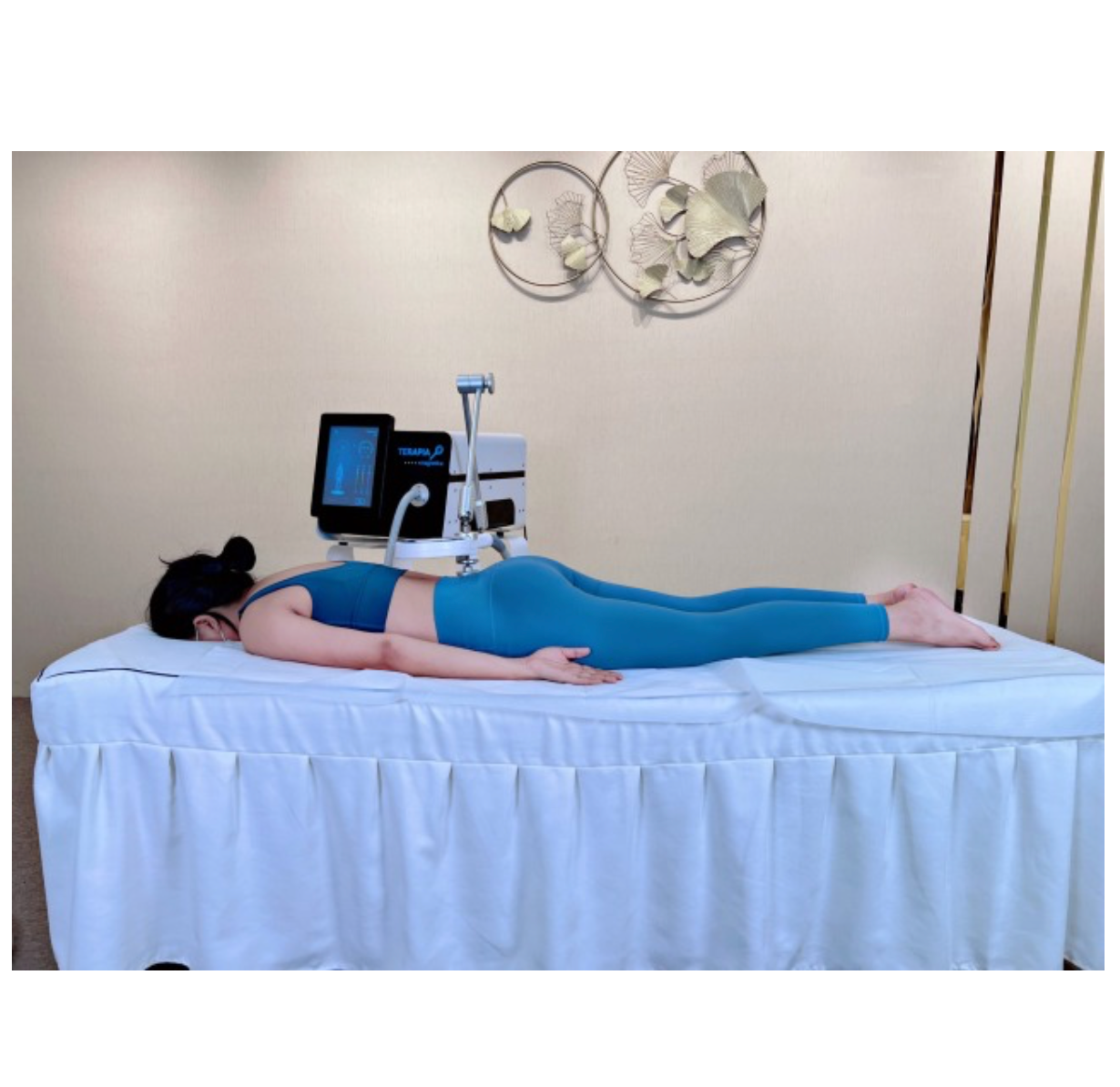 Masina de terapie magnetica PEMF