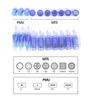 Dr.pen - Penna Derma per Micro-Needling Regolabile