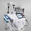Macchina portatile per crioterapia con cavitazione a 40kHz, RF per il corpo e criolipolisi 360 per il dimagrimento. - CareMart